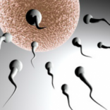 General info on Female infertility